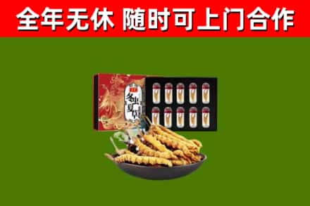 洛阳市烟酒回收冬虫夏草礼盒.jpg